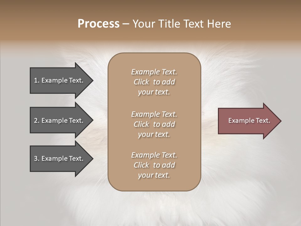 Fur Animal Felin PowerPoint Template