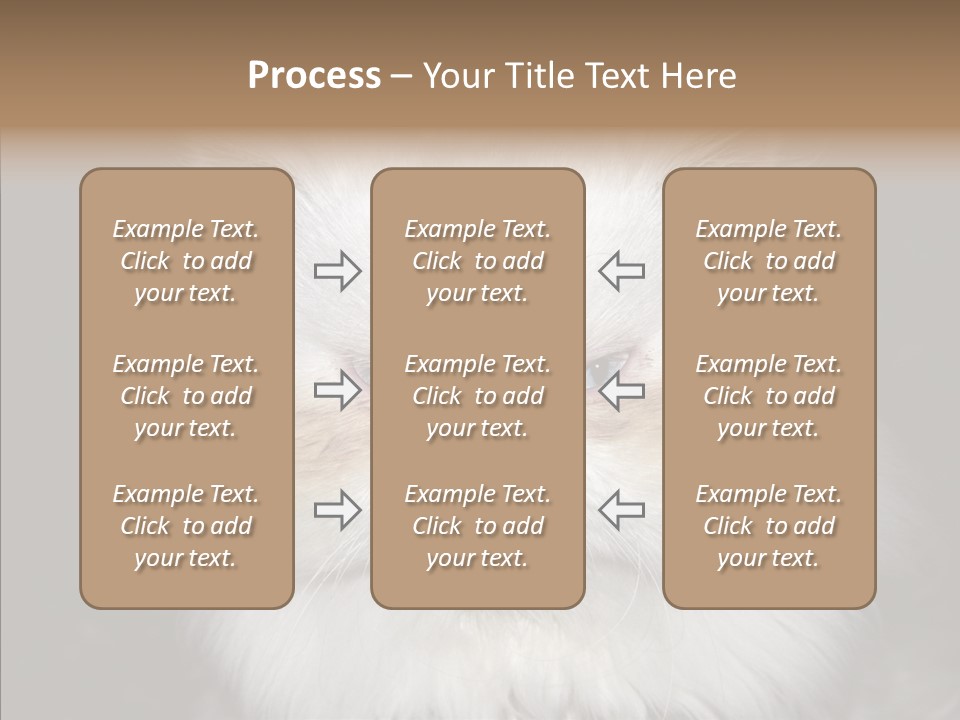 Fur Animal Felin PowerPoint Template