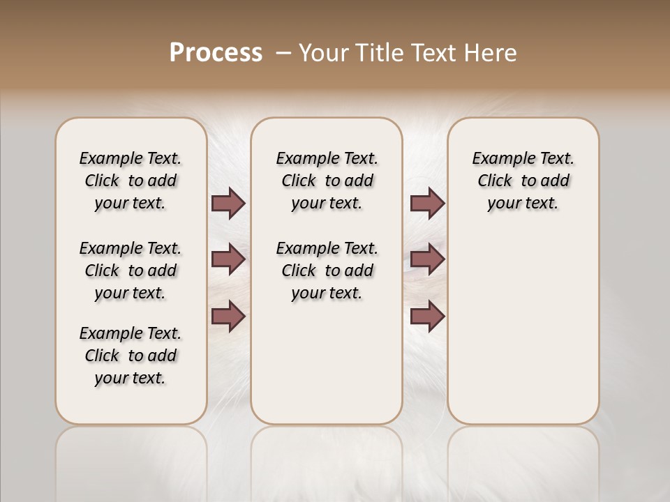 Fur Animal Felin PowerPoint Template