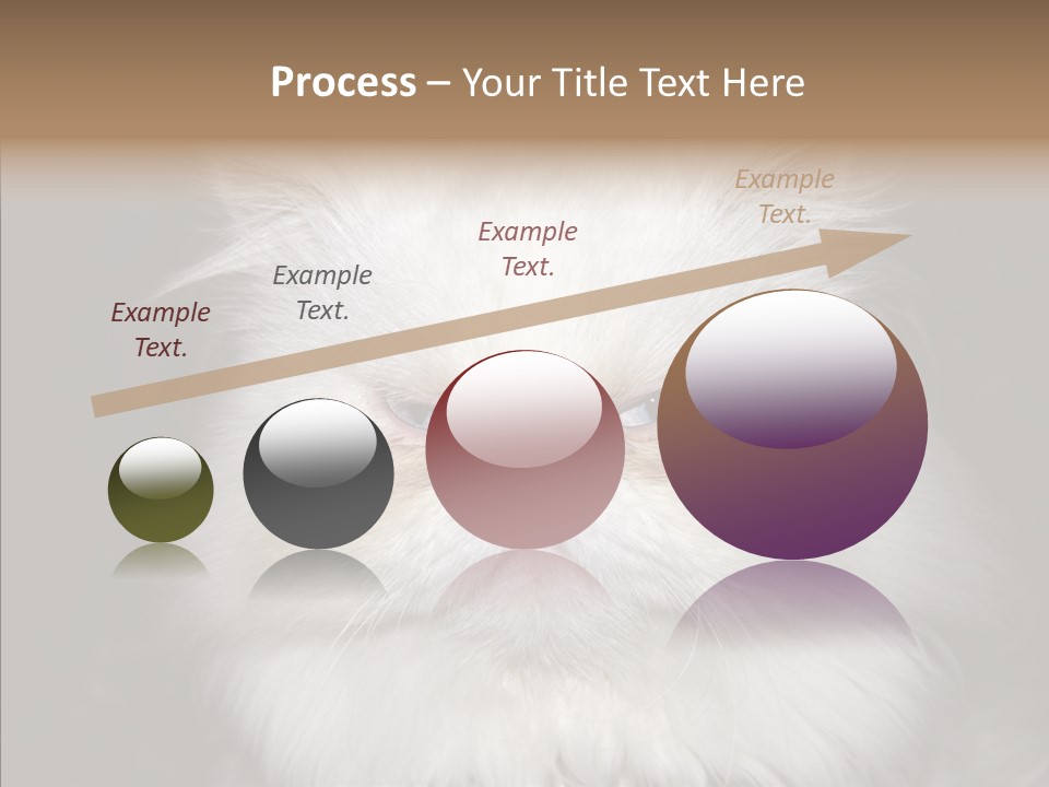 Fur Animal Felin PowerPoint Template