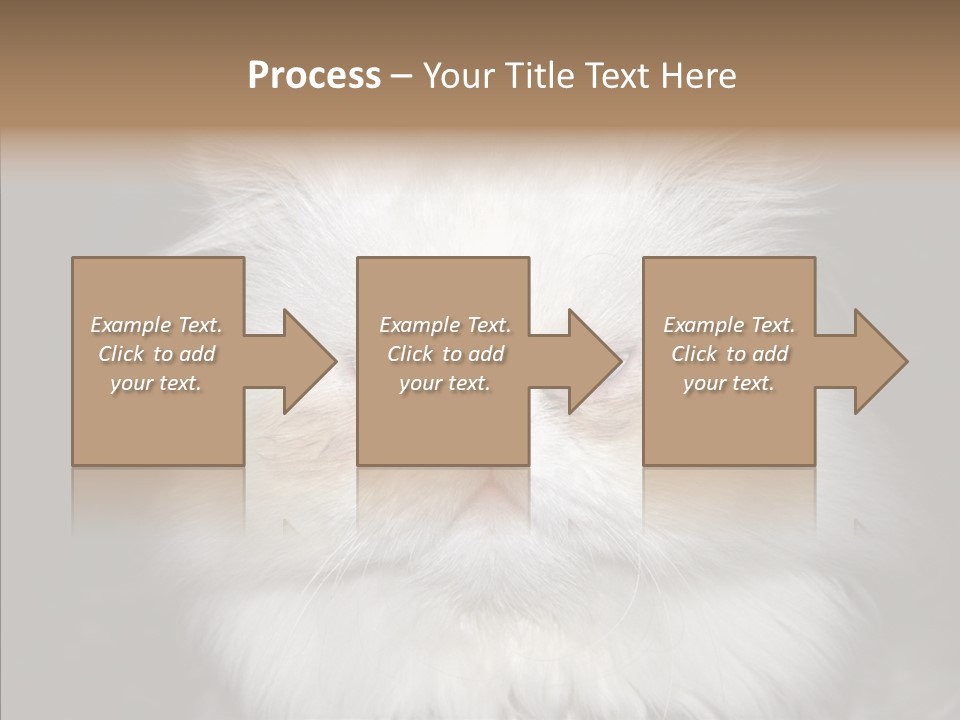 Fur Animal Felin PowerPoint Template