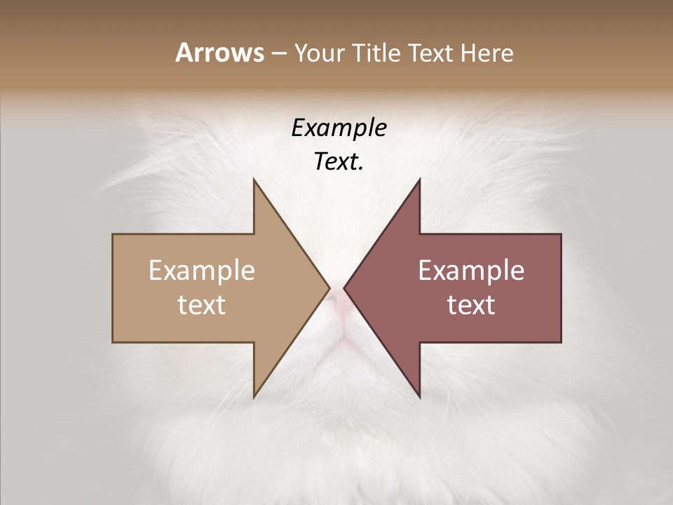 Fur Animal Felin PowerPoint Template