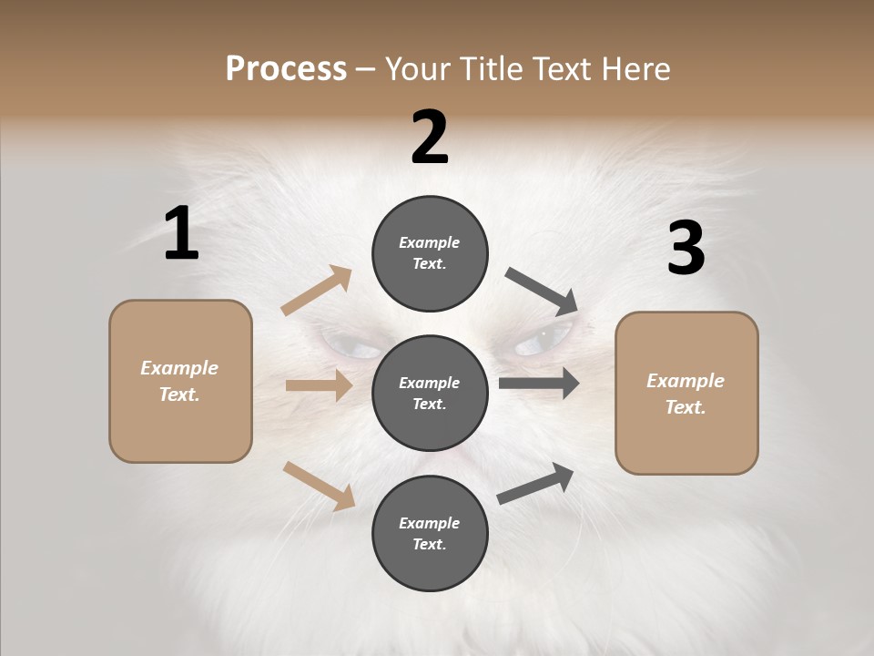 Fur Animal Felin PowerPoint Template