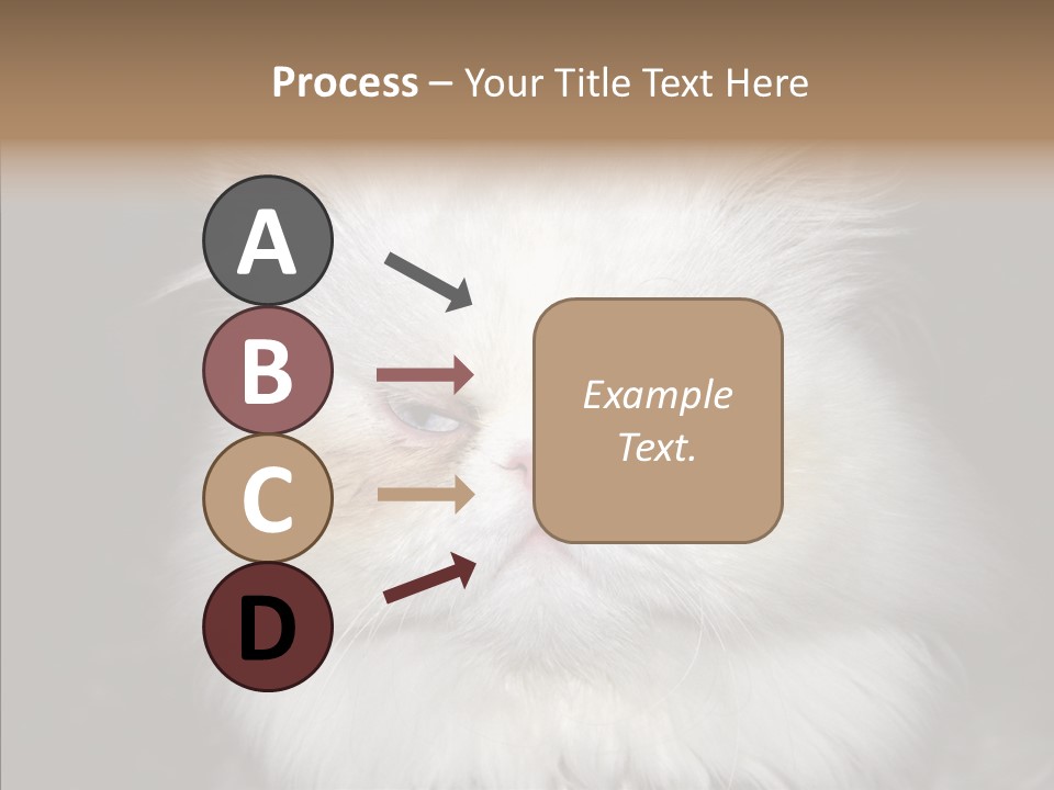 Fur Animal Felin PowerPoint Template