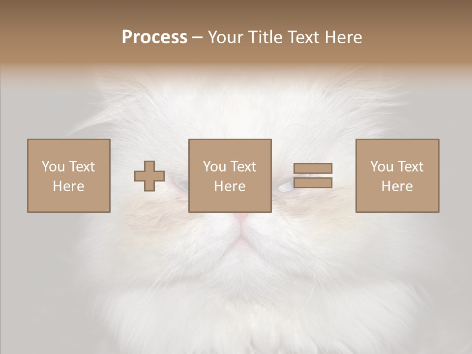 Fur Animal Felin PowerPoint Template