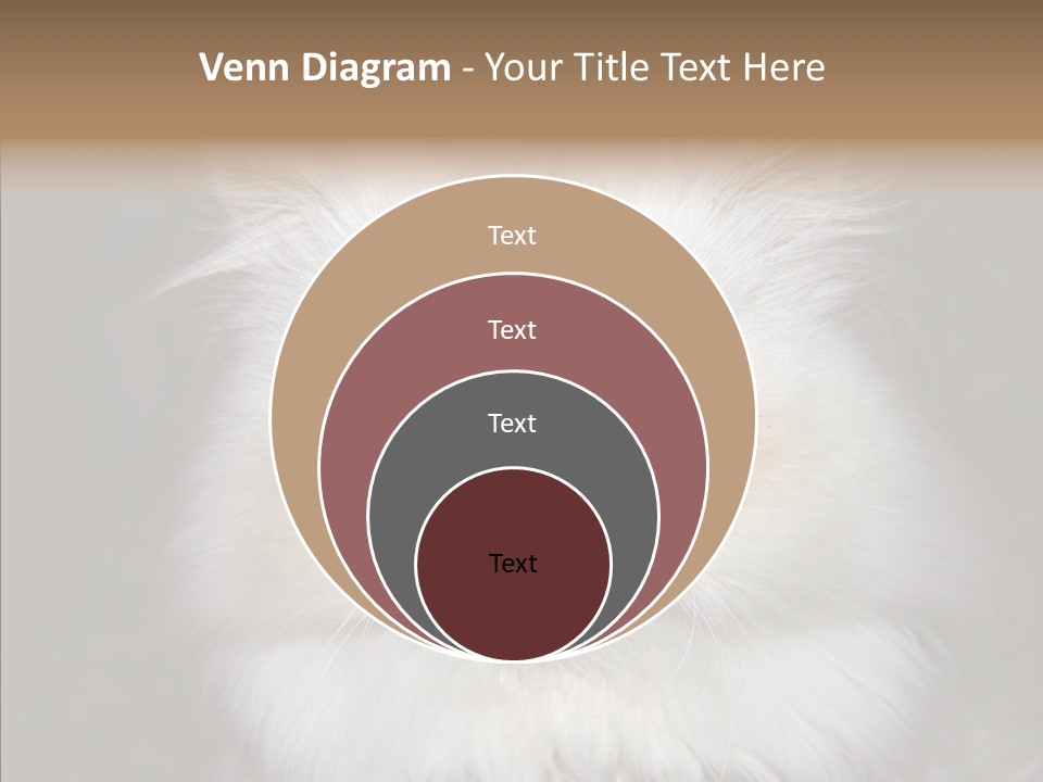 Fur Animal Felin PowerPoint Template