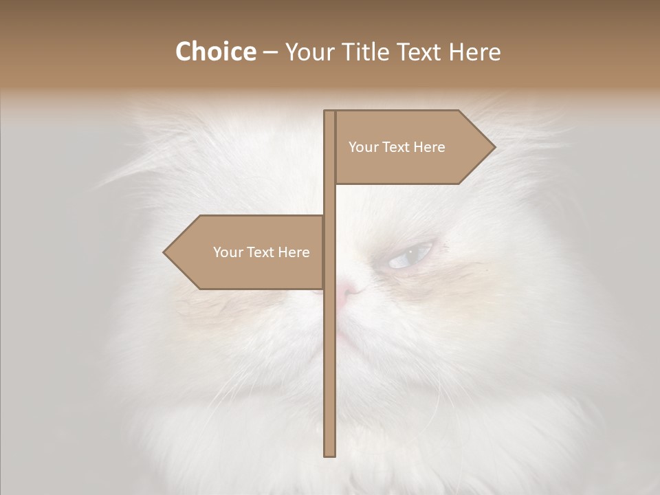 Fur Animal Felin PowerPoint Template