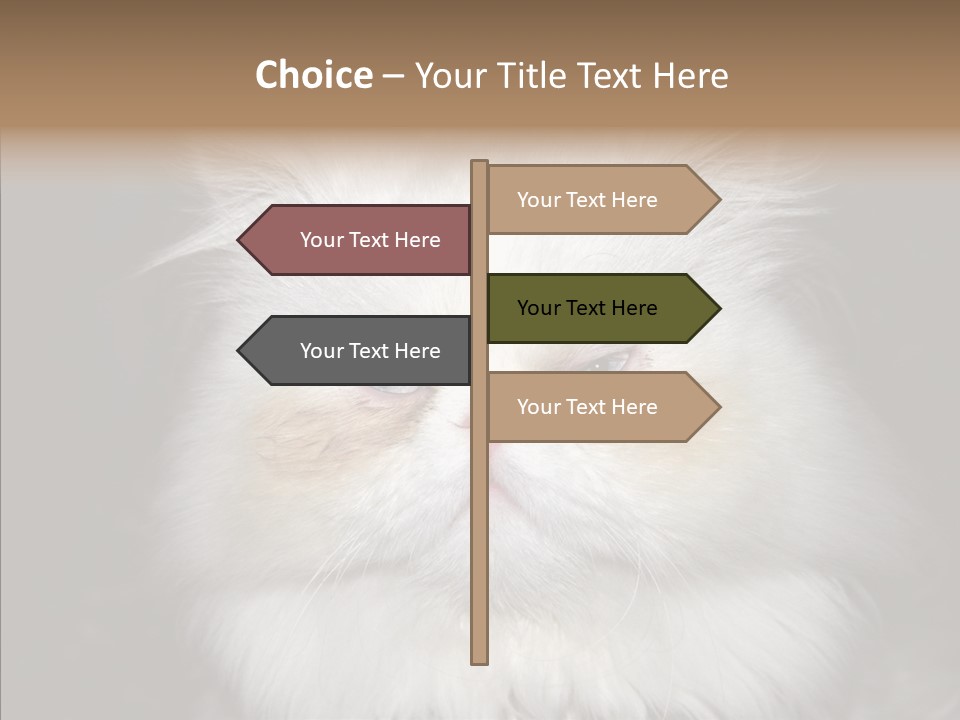 Fur Animal Felin PowerPoint Template