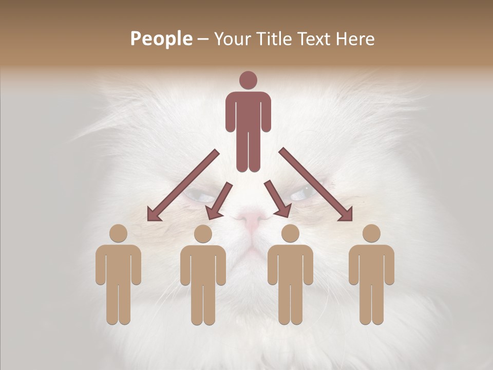 Fur Animal Felin PowerPoint Template