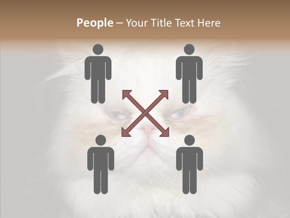 Fur Animal Felin PowerPoint Template