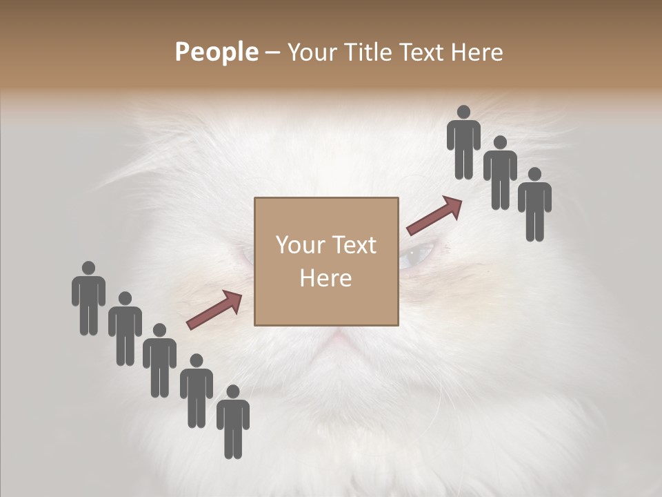 Fur Animal Felin PowerPoint Template