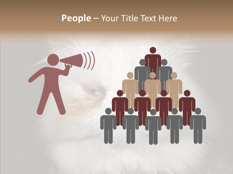 Fur Animal Felin PowerPoint Template