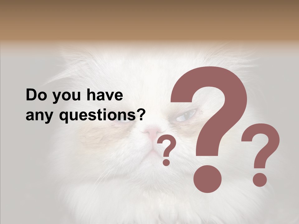 Fur Animal Felin PowerPoint Template