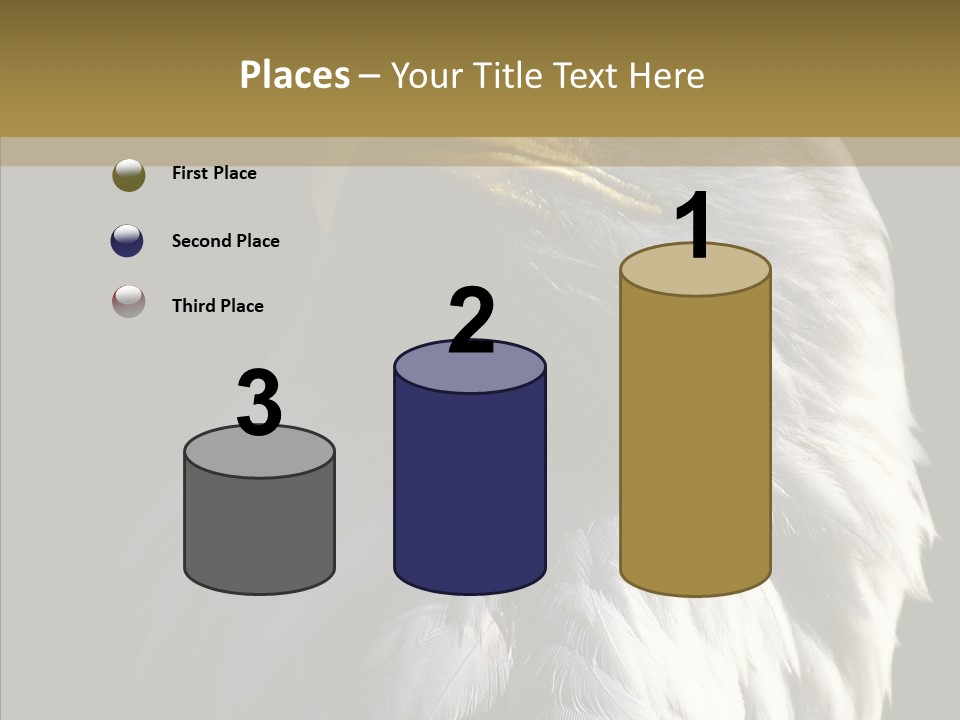 Alaska Predator Bird PowerPoint Template