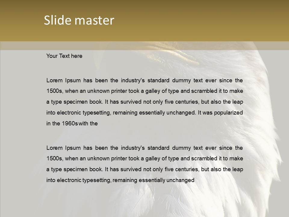Alaska Predator Bird PowerPoint Template
