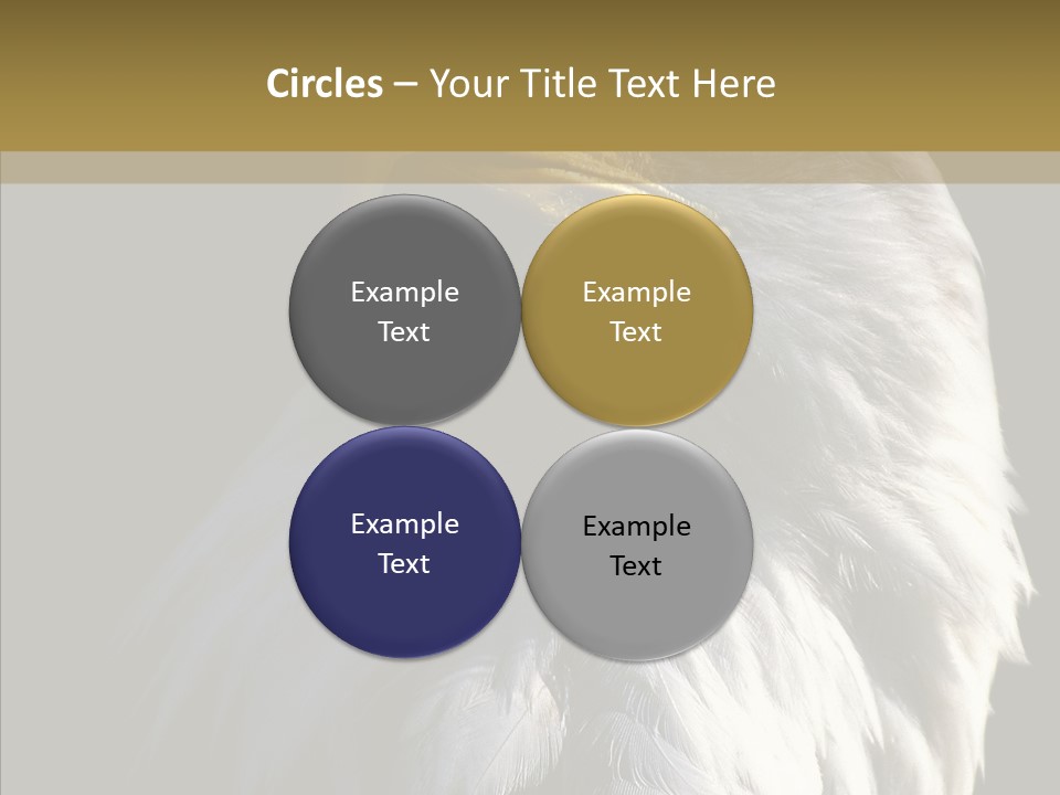 Alaska Predator Bird PowerPoint Template