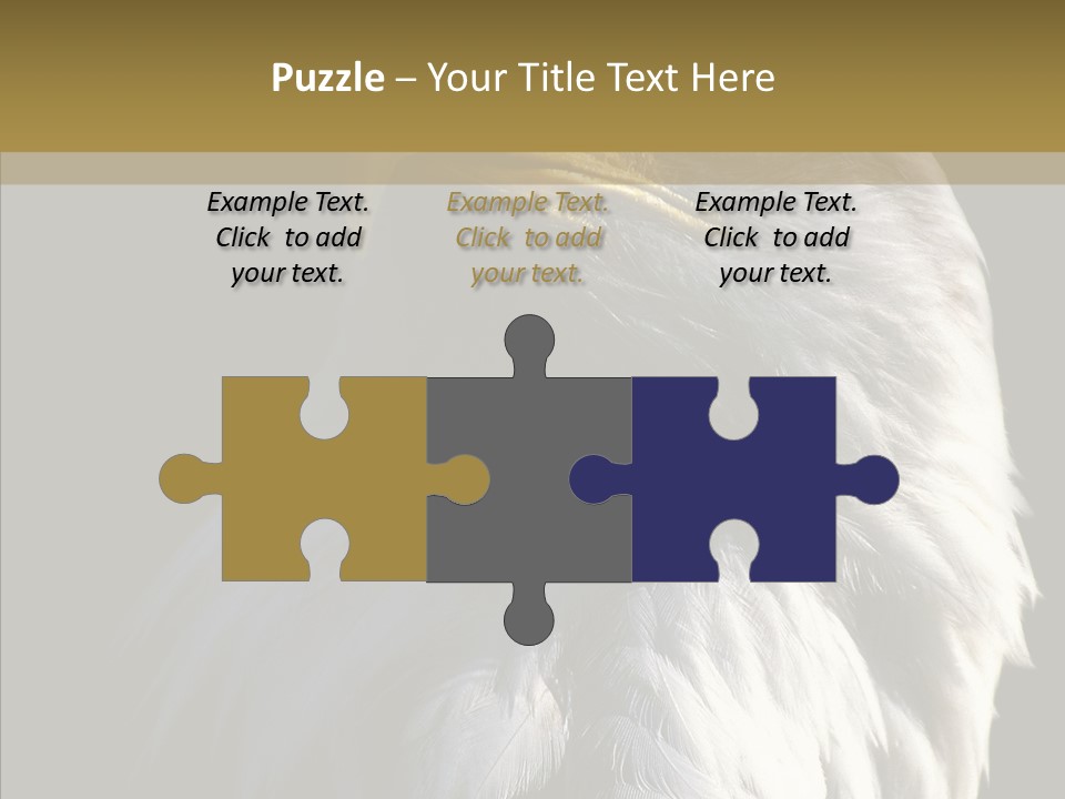 Alaska Predator Bird PowerPoint Template