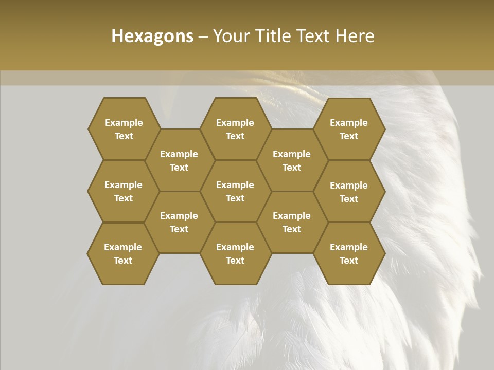 Alaska Predator Bird PowerPoint Template