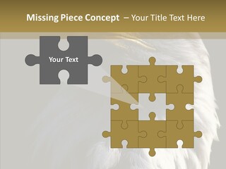 Alaska Predator Bird PowerPoint Template