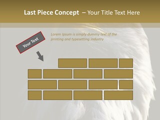 Alaska Predator Bird PowerPoint Template