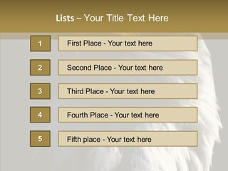 Alaska Predator Bird PowerPoint Template