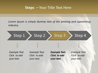 Alaska Predator Bird PowerPoint Template