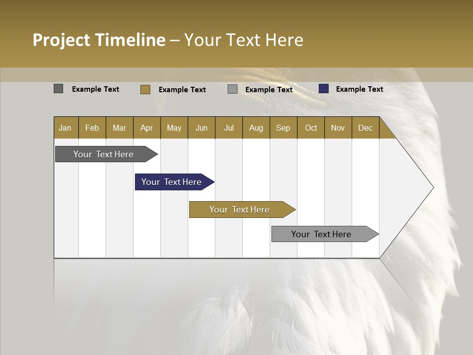 Alaska Predator Bird PowerPoint Template