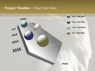 Alaska Predator Bird PowerPoint Template