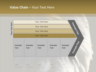 Alaska Predator Bird PowerPoint Template