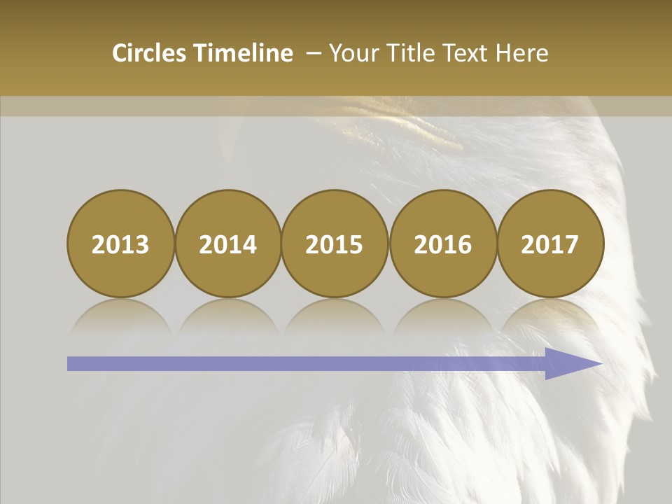 Alaska Predator Bird PowerPoint Template