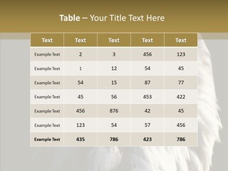 Alaska Predator Bird PowerPoint Template