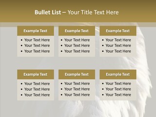 Alaska Predator Bird PowerPoint Template