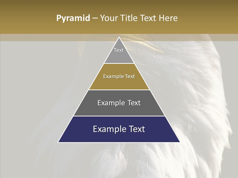 Alaska Predator Bird PowerPoint Template