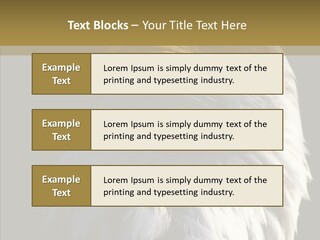 Alaska Predator Bird PowerPoint Template