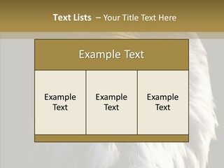 Alaska Predator Bird PowerPoint Template