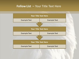 Alaska Predator Bird PowerPoint Template