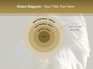 Alaska Predator Bird PowerPoint Template