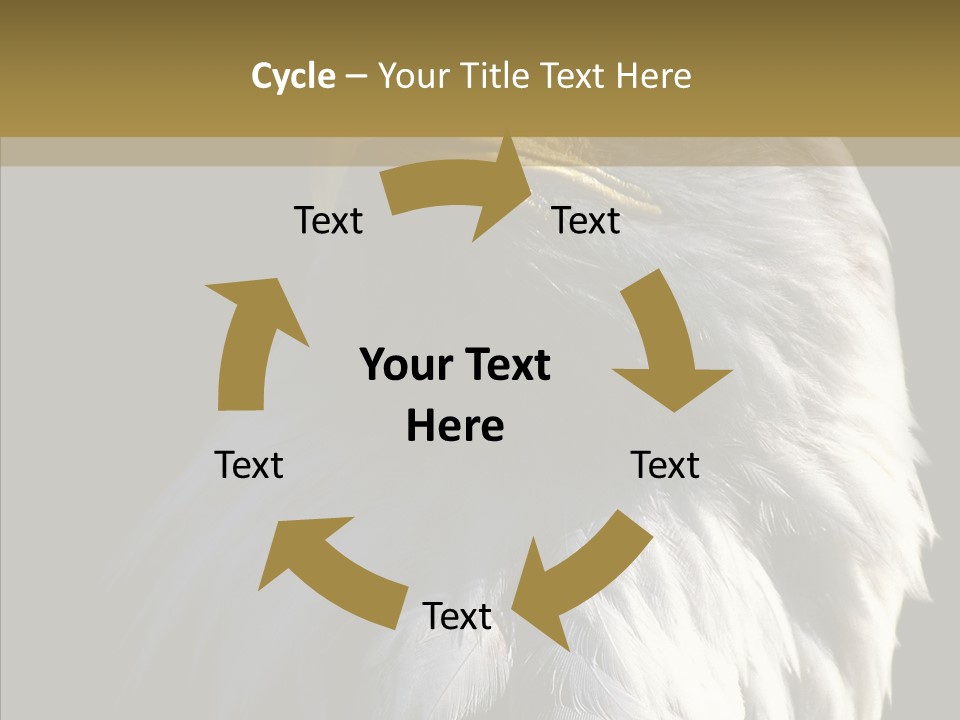 Alaska Predator Bird PowerPoint Template