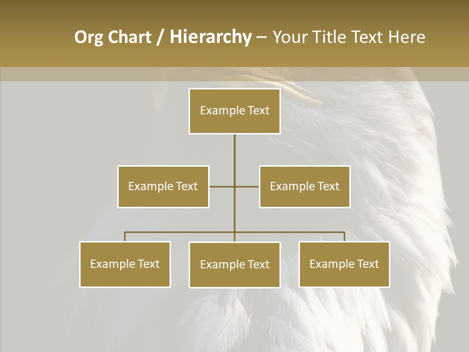 Alaska Predator Bird PowerPoint Template