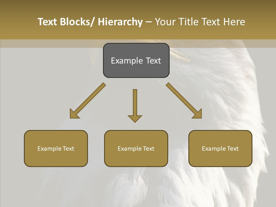 Alaska Predator Bird PowerPoint Template