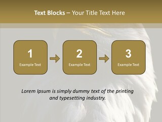 Alaska Predator Bird PowerPoint Template