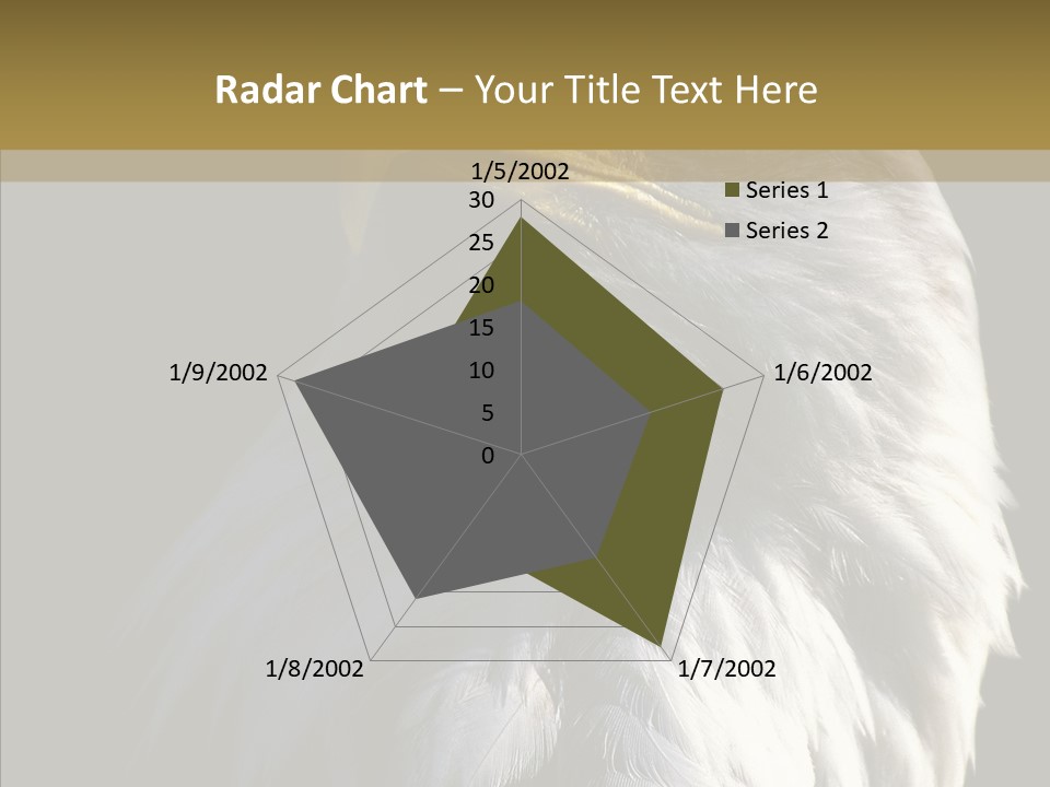 Alaska Predator Bird PowerPoint Template