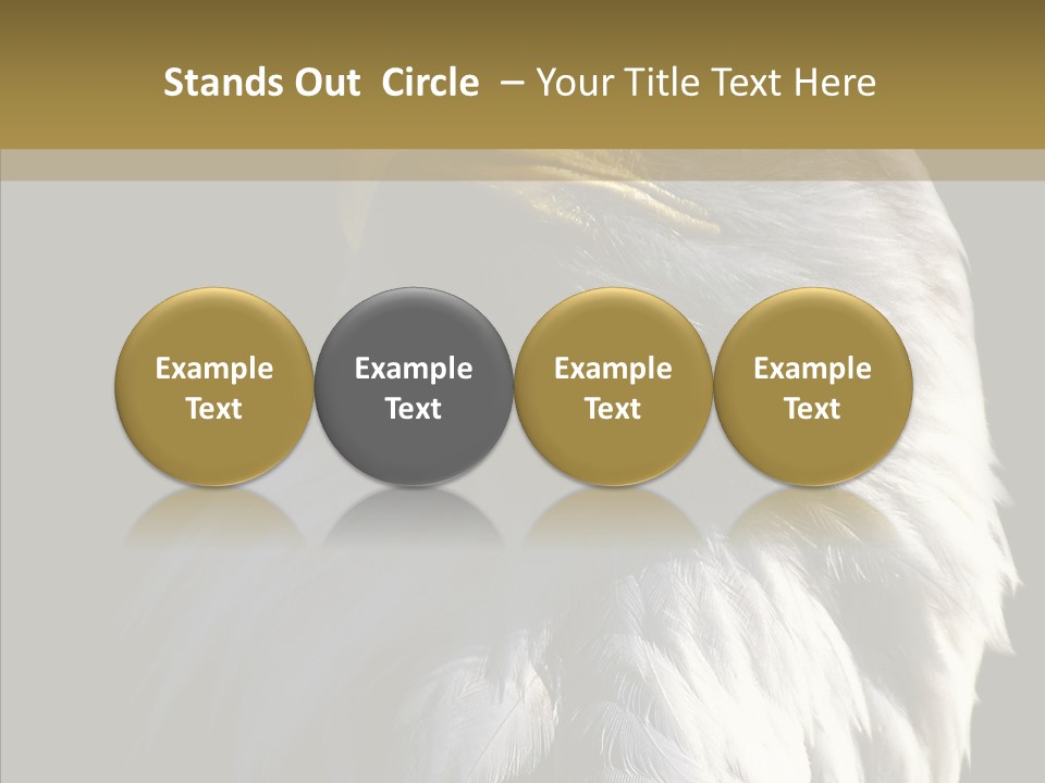 Alaska Predator Bird PowerPoint Template