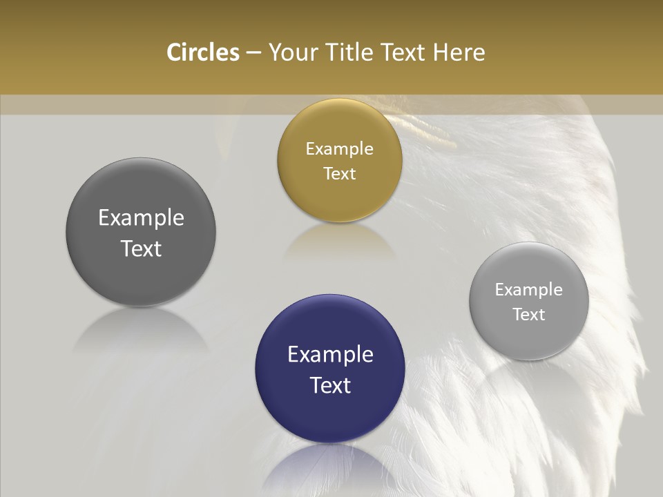 Alaska Predator Bird PowerPoint Template