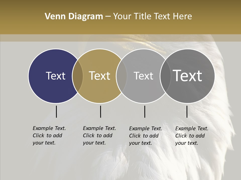 Alaska Predator Bird PowerPoint Template