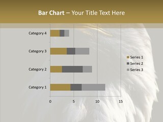 Alaska Predator Bird PowerPoint Template