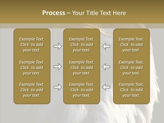 Alaska Predator Bird PowerPoint Template