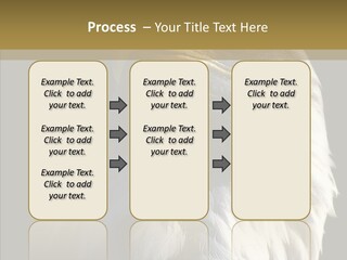Alaska Predator Bird PowerPoint Template