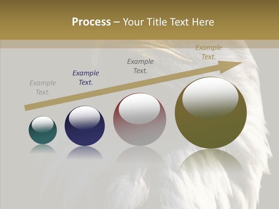 Alaska Predator Bird PowerPoint Template