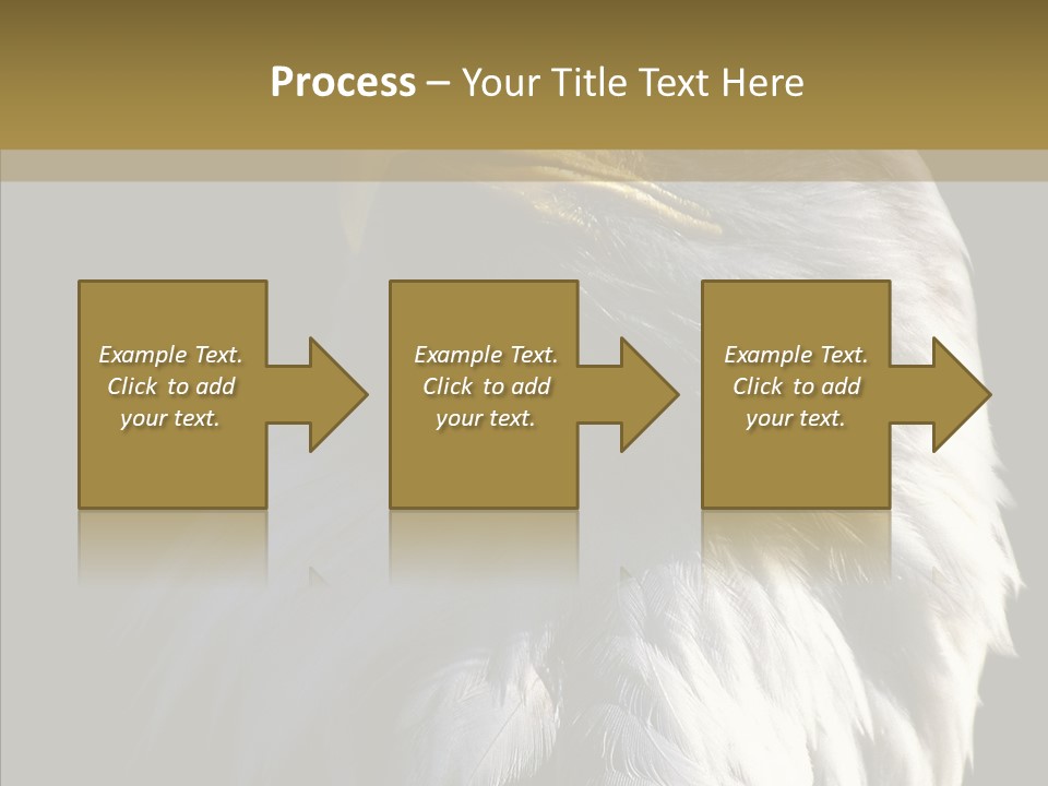 Alaska Predator Bird PowerPoint Template